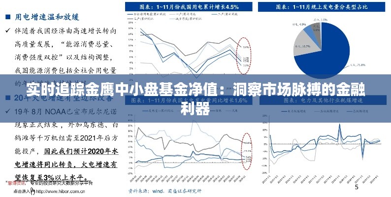 实时追踪金鹰中小盘基金净值：洞察市场脉搏的金融利器