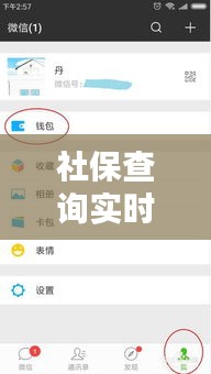 社保查询实时记录：轻松掌握个人社保动态