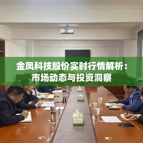 金凤科技股价实时行情解析：市场动态与投资洞察