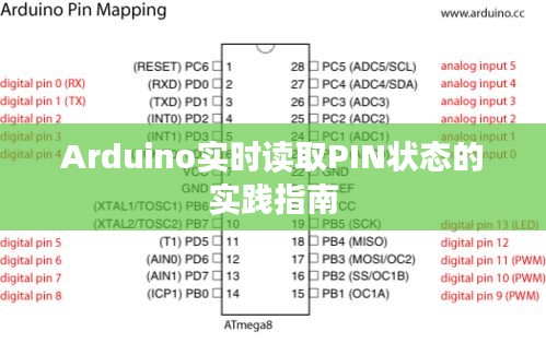 Arduino实时读取PIN状态的实践指南