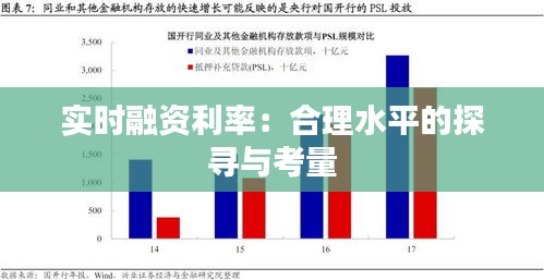 实时融资利率：合理水平的探寻与考量