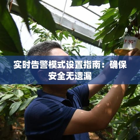 实时告警模式设置指南：确保安全无遗漏