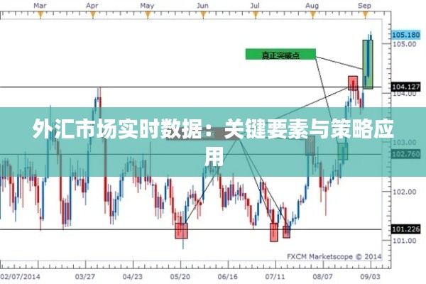 外汇市场实时数据：关键要素与策略应用