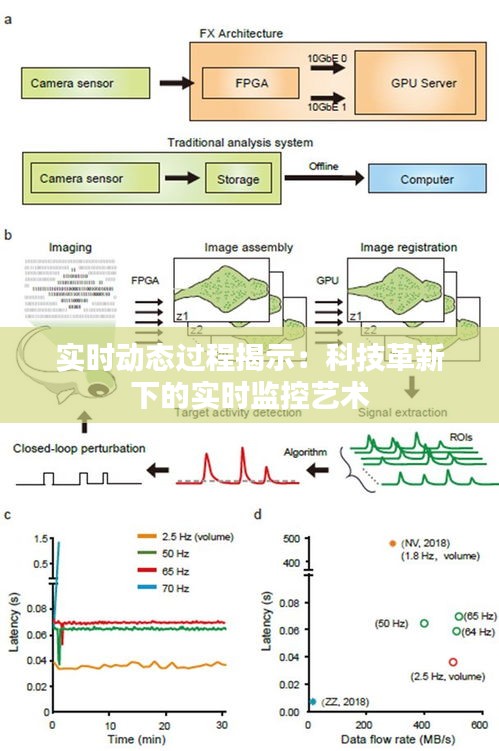 实时动态过程揭示：科技革新下的实时监控艺术