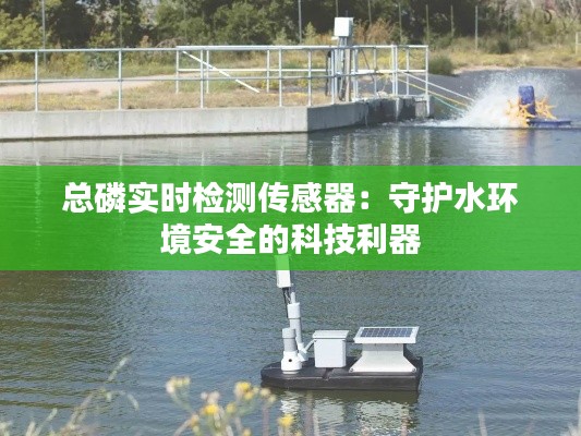 总磷实时检测传感器：守护水环境安全的科技利器