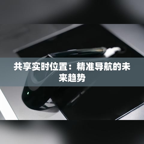 共享实时位置：精准导航的未来趋势