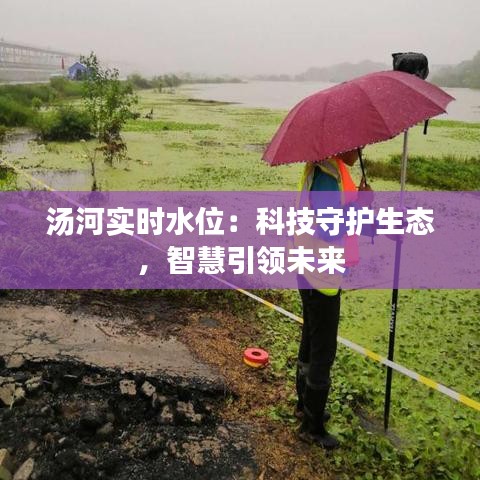 汤河实时水位：科技守护生态，智慧引领未来