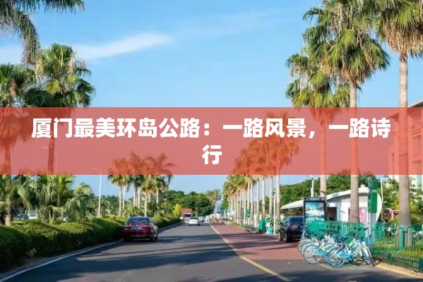 厦门最美环岛公路：一路风景，一路诗行