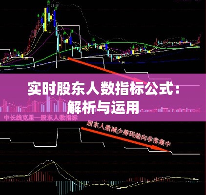 实时股东人数指标公式：解析与运用