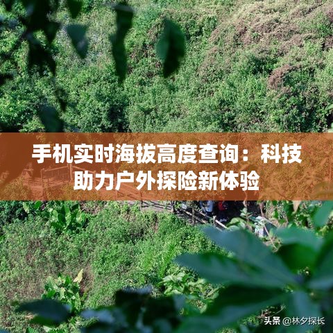 手机实时海拔高度查询：科技助力户外探险新体验