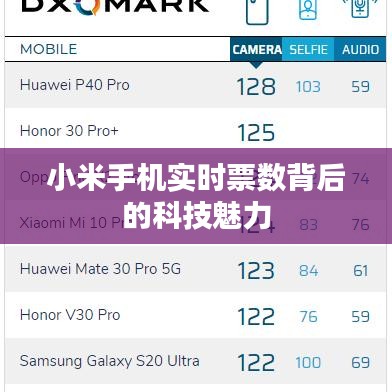 小米手机实时票数背后的科技魅力