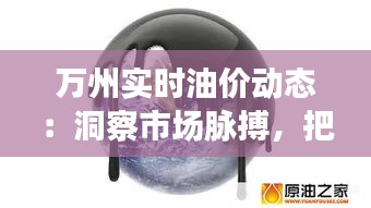 万州实时油价动态：洞察市场脉搏，把握油品消费新趋势