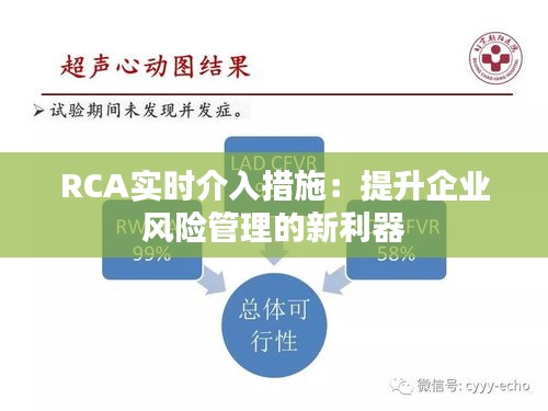 RCA实时介入措施：提升企业风险管理的新利器