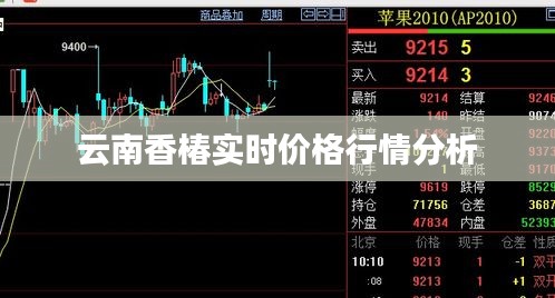 云南香椿实时价格行情分析