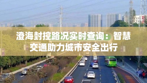 澄海封控路况实时查询：智慧交通助力城市安全出行