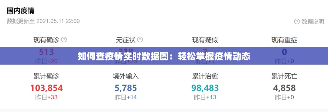如何查疫情实时数据图：轻松掌握疫情动态