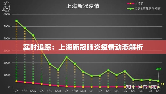 实时追踪：上海新冠肺炎疫情动态解析