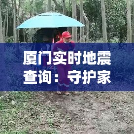 厦门实时地震查询：守护家园的安全防线