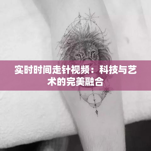 实时时间走针视频：科技与艺术的完美融合