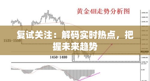 复试关注：解码实时热点，把握未来趋势