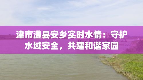 津市澧县安乡实时水情：守护水域安全，共建和谐家园