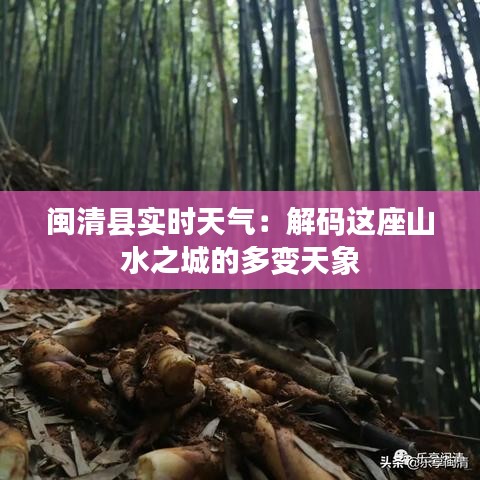 闽清县实时天气：解码这座山水之城的多变天象