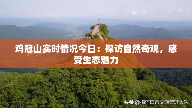 鸡冠山实时情况今日：探访自然奇观，感受生态魅力