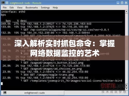 深入解析实时抓包命令：掌握网络数据监控的艺术