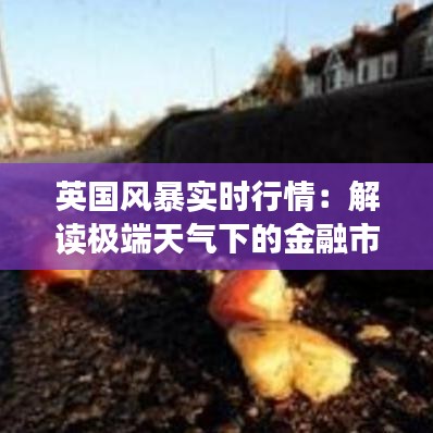 英国风暴实时行情：解读极端天气下的金融市场动态