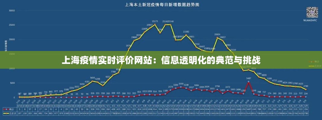 上海疫情实时评价网站：信息透明化的典范与挑战