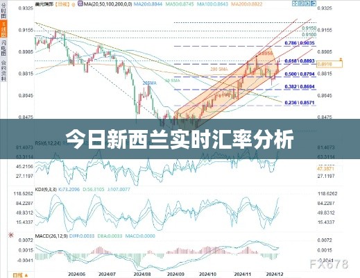 今日新西兰实时汇率分析