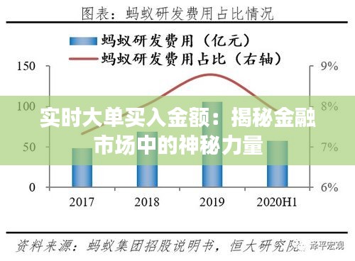 实时大单买入金额：揭秘金融市场中的神秘力量