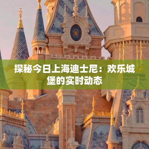 探秘今日上海迪士尼：欢乐城堡的实时动态