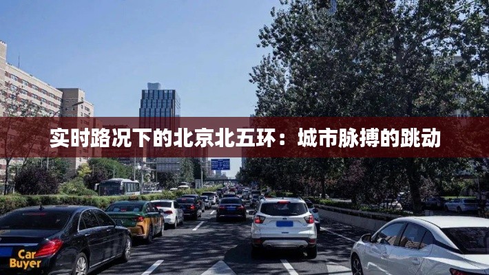 实时路况下的北京北五环：城市脉搏的跳动