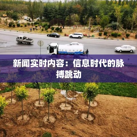 新闻实时内容：信息时代的脉搏跳动