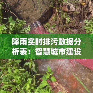 降雨实时排污数据分析表：智慧城市建设的环保利器