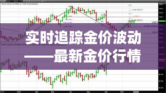 实时追踪金价波动——最新金价行情查询指南