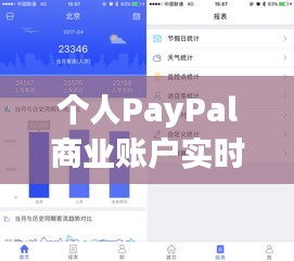 个人PayPal商业账户实时统计：掌握财务脉搏，提升经营效率