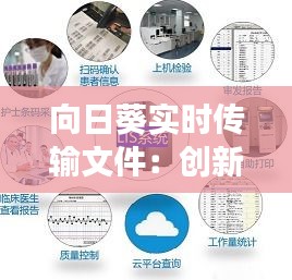 向日葵实时传输文件：创新科技助力高效协作