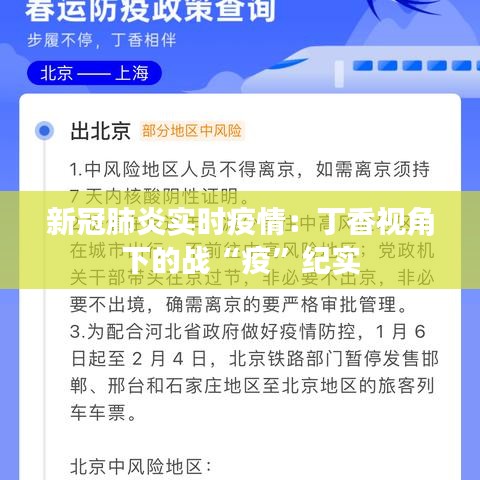 新冠肺炎实时疫情：丁香视角下的战“疫”纪实