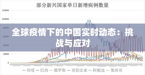 全球疫情下的中国实时动态：挑战与应对