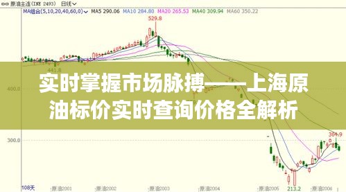 实时掌握市场脉搏——上海原油标价实时查询价格全解析