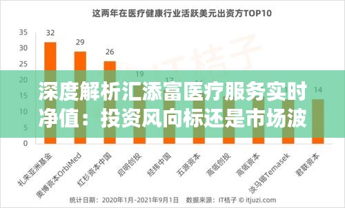 深度解析汇添富医疗服务实时净值：投资风向标还是市场波动？