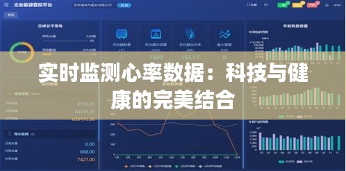 实时监测心率数据：科技与健康的完美结合