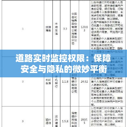 道路实时监控权限：保障安全与隐私的微妙平衡