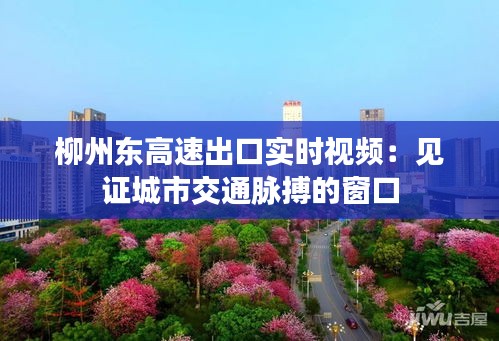 柳州东高速出口实时视频：见证城市交通脉搏的窗口