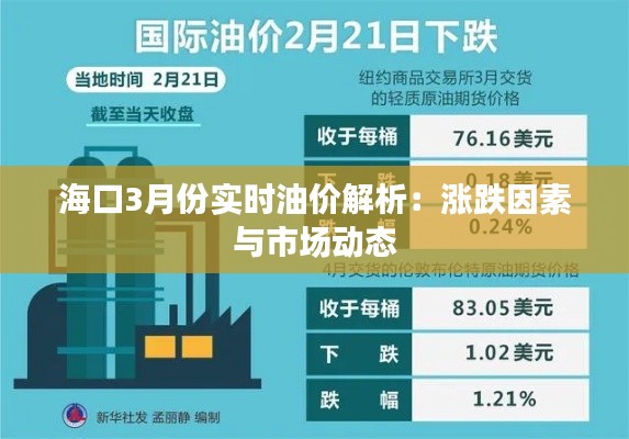 海口3月份实时油价解析：涨跌因素与市场动态