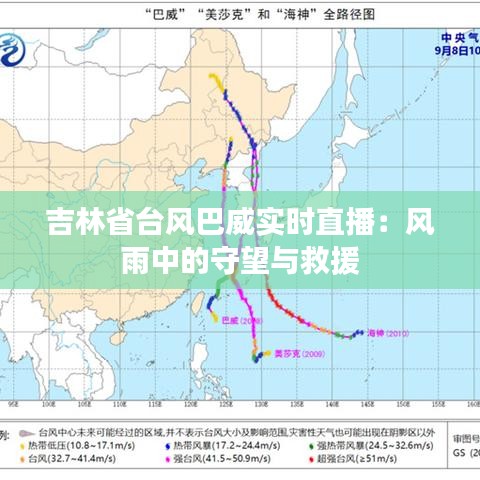 吉林省台风巴威实时直播：风雨中的守望与救援