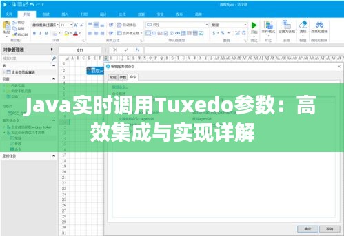 Java实时调用Tuxedo参数：高效集成与实现详解