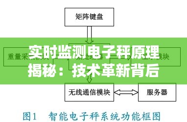 实时监测电子秤原理揭秘：技术革新背后的智慧之光